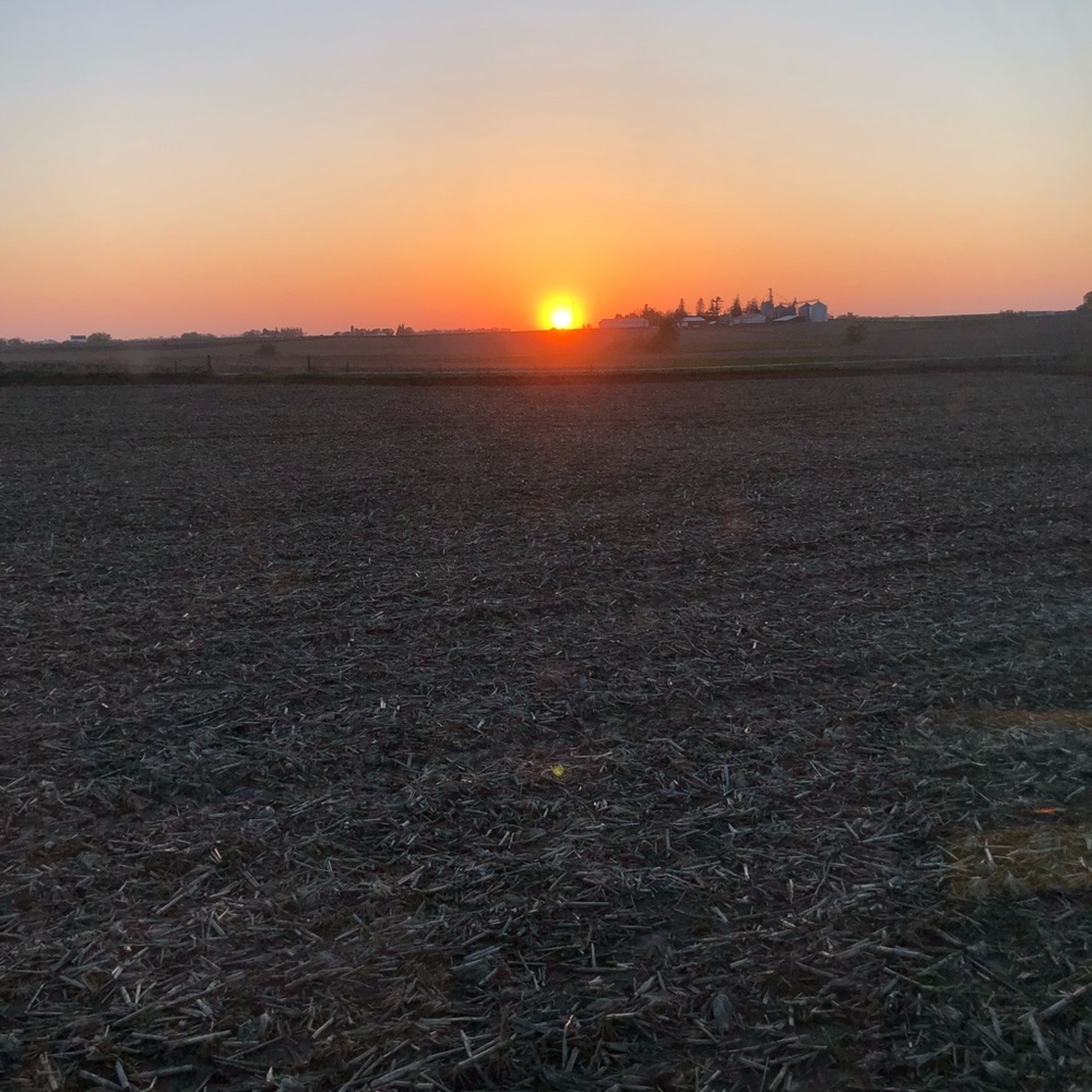 Meet your Posher, Ruth